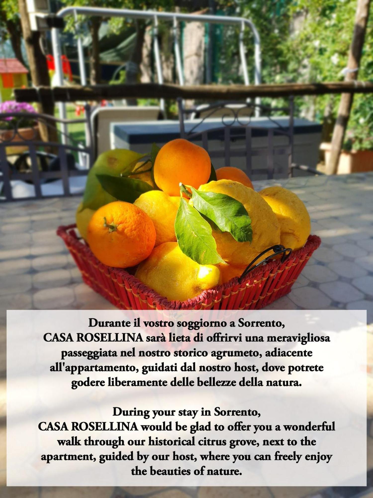 Casa Rosellina Sorrento Villa Buitenkant foto